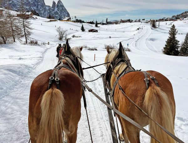 COMO Alpina Dolomites — foto 4