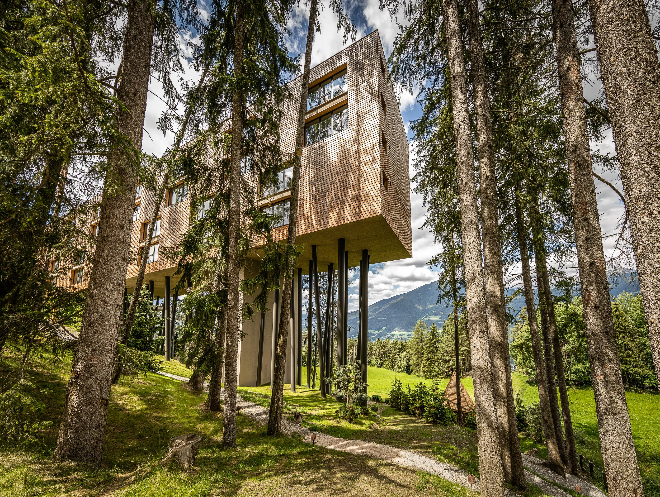 My Arbor Hotel - Adults Only — foto 3